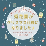 【お写真撮ろう♪】早くもクリスマスフォトスポットが誕生☆彡